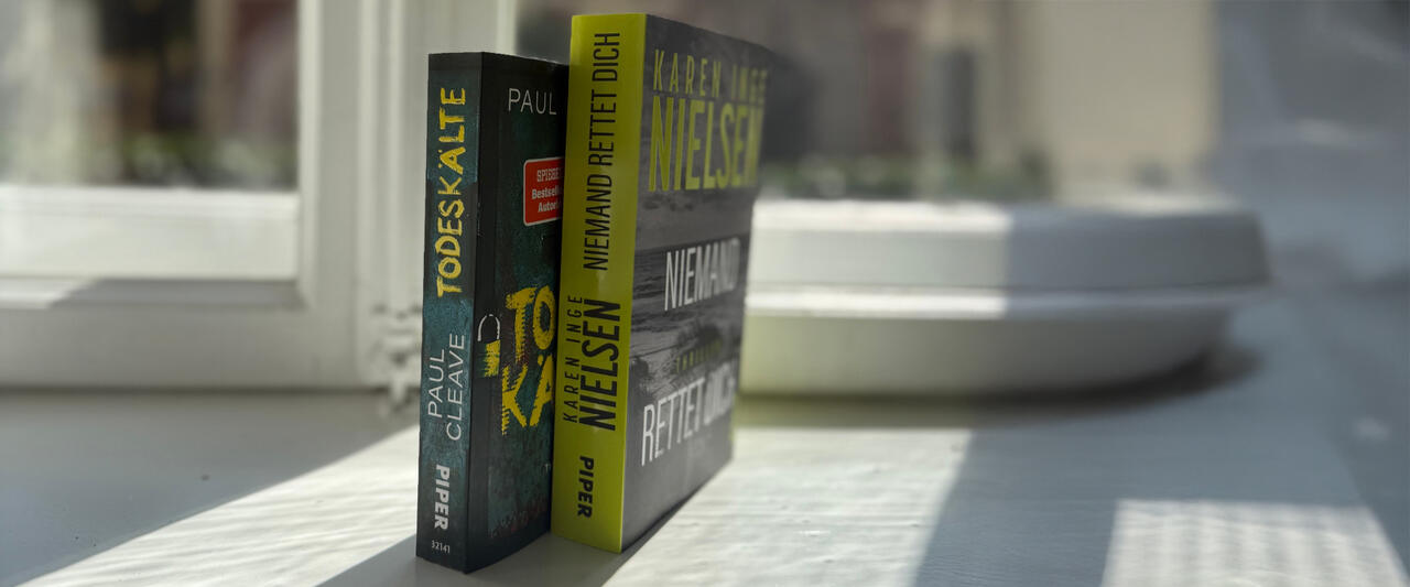 Die Thriller "Todeskälte" und "Niemand rettet dich" stehen auf einem Fensterbrett