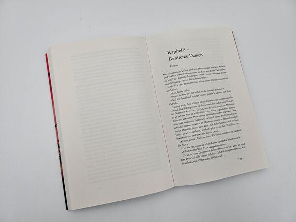 Innenansicht des Buches „Deine Welt wird brennen“