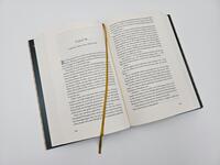 Innenansicht des Buches „König der Turniere“