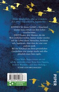 Rückansicht des Buches „Der Klang von Licht“ 