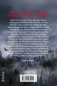 Rückansicht des Buches „Finsterland.“