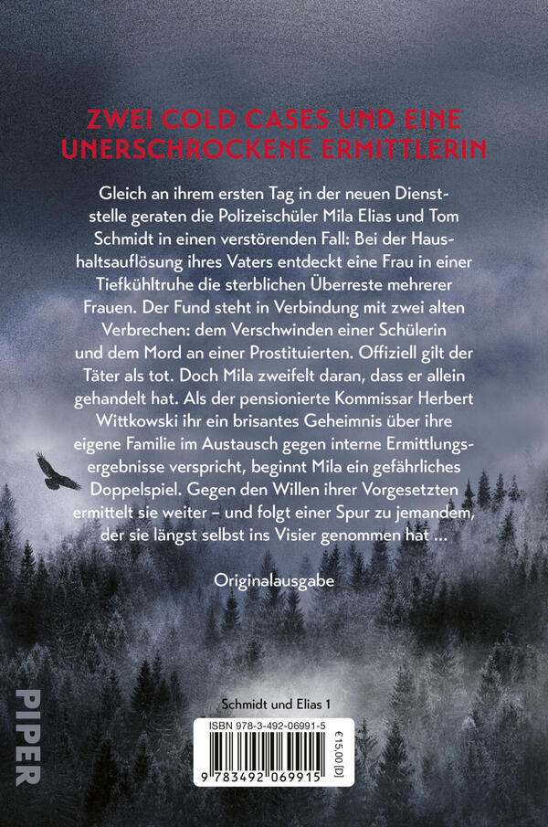 Rückansicht des Buches „Finsterland.“
