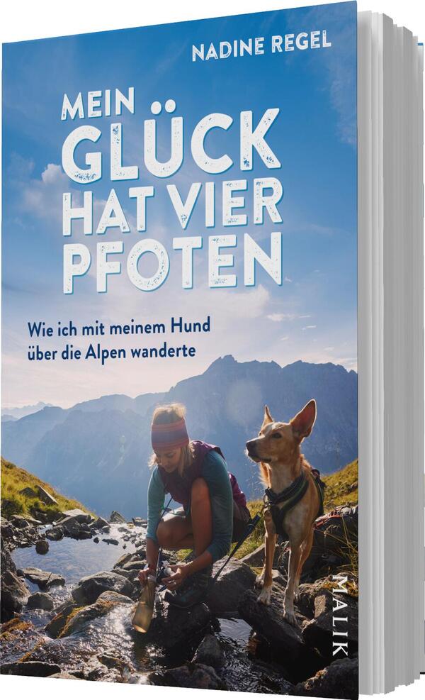Das Buchcover zeigt eine Wanderszene in den Alpen, in der eine Frau in sportlicher Kleidung mit ihrem Hund unterwegs ist. Die Farben sind überwiegend in sanften Blau- und Grüntönen gehalten, die eine frische, lebendige Atmosphäre vermitteln. Der Titel „Mein Glück hat vier Pfoten“ ist in großer, weißer Schrift mit blauen Akzenten gestaltet, während der Untertitel „Wie ich mit meinem Hund über die Alpen wanderte“ in kleinerer Schrift darunter steht. Oben rechts prangt der Name der Autorin, Nadine Regel.