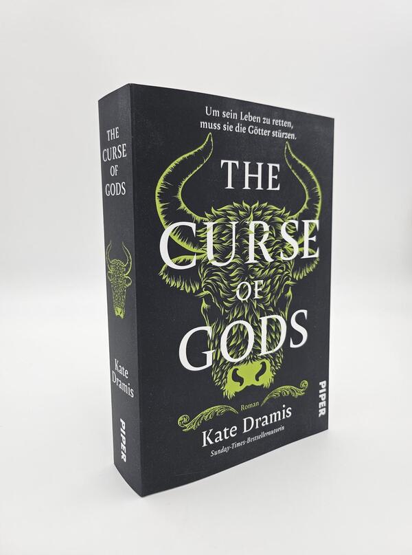 Außenansicht des Buches „The Curse of Gods“