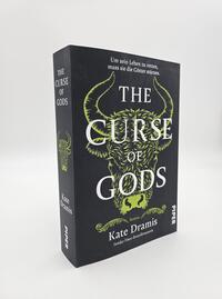 Außenansicht des Buches „The Curse of Gods“