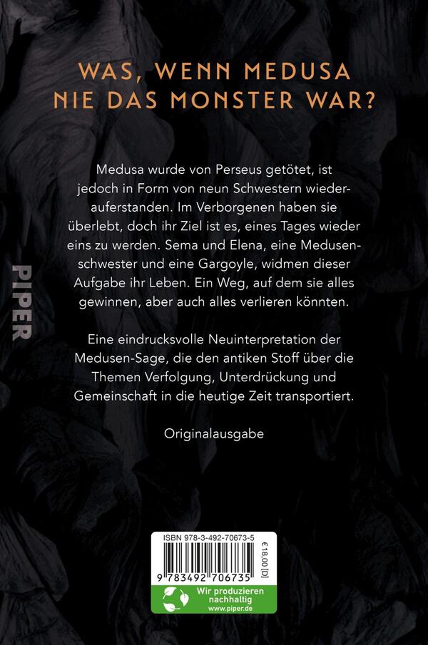 Rückansicht des Buches „Schlangen und Stein“ 
