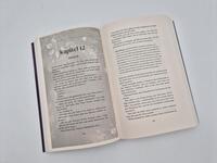 Außenansicht des Buches „Tempting little Thief“