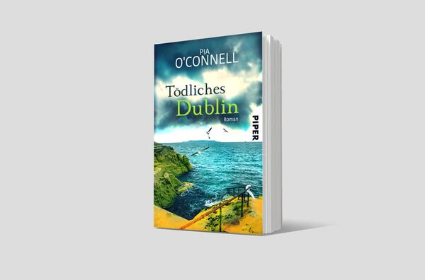 Außenansicht des Buches „Tödliches Dublin“