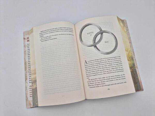 Außenansicht des Buches „Rings of Fate (Deluxe-Ausgabe)“