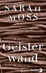 Geisterwand