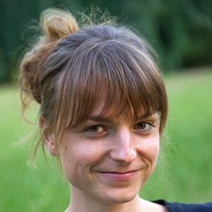 Foto von Cicer Arieti