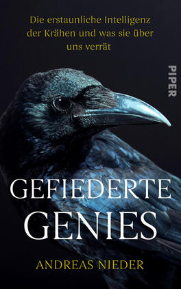 Gefiederte Genies Das Buchcover zeigt vor einem türkis-schwarzen Verlauf groß den weißen Titel „WAS KRÄHEN WISSEN“, oben den Autorennamen ANDREAS NIEDER in schwarzer Schrift, rechts den gelben Verlagsnamen PIPER als schmaler Block. Unten ein realistisches, schwarz-blau schimmerndes Rabenvogel-Porträt und als Untertitel in gelber Schrift: „Die erstaunliche Intelligenz der Rabenvögel und was sie über uns verrät“.