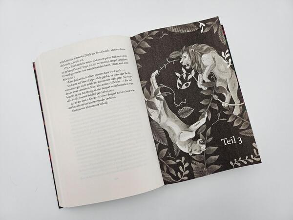 Innenansicht des Buches „Raybearer – Die Masken der Aiyetoro“