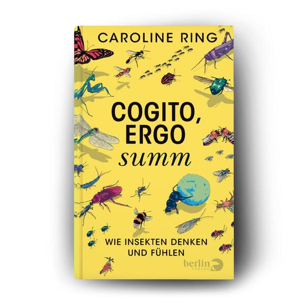 Außenansicht des Buches „Cogito, ergo summ“