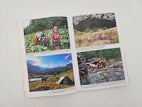 Außenansicht des Buches „Immer den Nüstern nach“