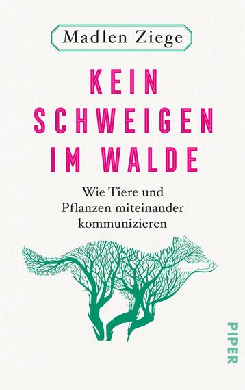 Das Buchcover zeigt einen minimalistischen, hellen Hintergrund mit einer stilisierten Baumillustration in kräftigen Grüntönen. Der Titel „KEIN SCHWEIGEN IM WALDE“ ist in großen, pinken Buchstaben prominent platziert. Darunter steht der Untertitel „Wie Tiere und Pflanzen miteinander kommunizieren“ in schlichterer, grauer Schrift. Oben auf dem Cover ist der Name der Autorin, Madlen Ziege, zu sehen. Die Gestaltung vermittelt eine freundliche und einladende Atmosphäre.