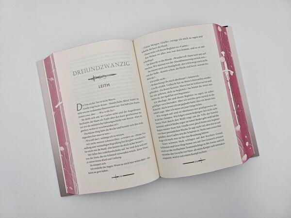 Außenansicht des Buches „Bloodguard“