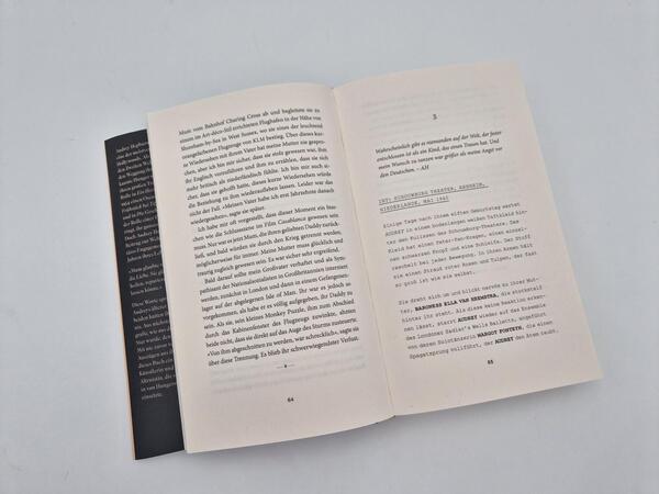 Außenansicht des Buches „Audrey“