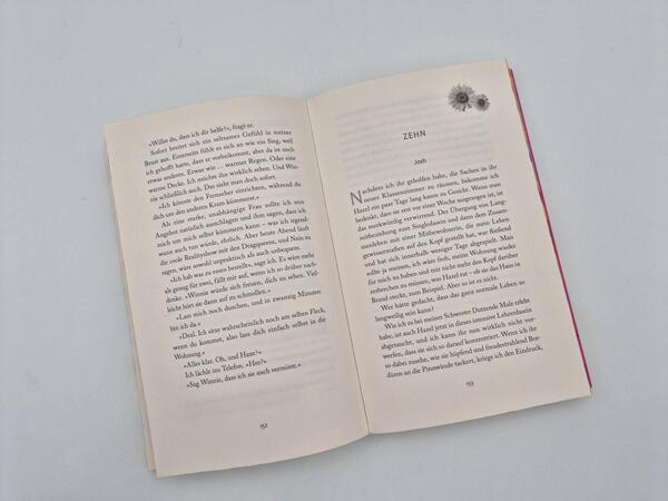 Außenansicht des Buches „Josh and Hazel's Guide to Not Dating“