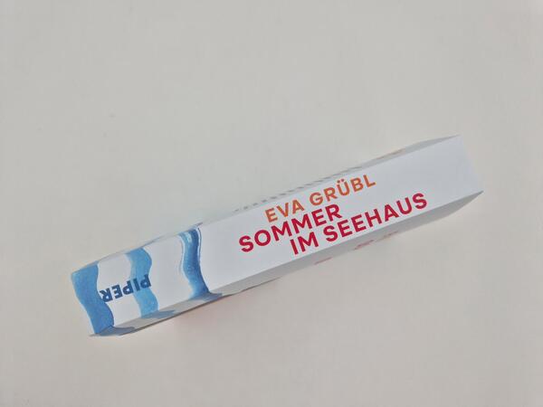 Außenansicht des Buches „Sommer im Seehaus“
