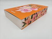 Außenansicht des Buches „The Brightest Light of Sunshine“