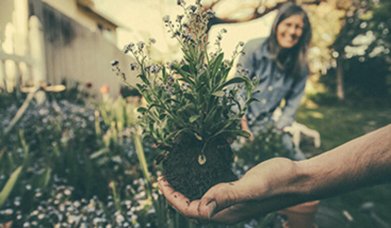 Gartenbücher für den Frühling