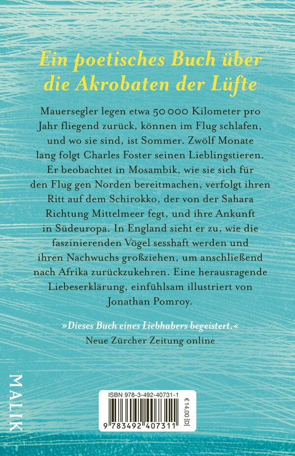 Rückansicht des Buches „Der Ruf des Sommers“