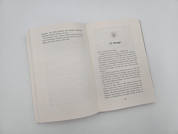 Außenansicht des Buches „Göttin der Vergessenen“
