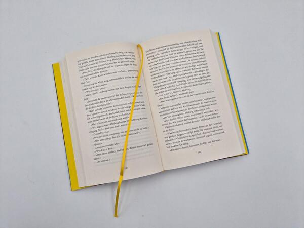 Außenansicht des Buches „Niemands Töchter“