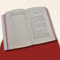 Außenansicht des Buches „Theo of Golden (English Edition)“