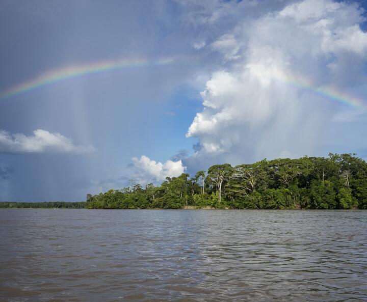 Insel mit Regenbogen darüber