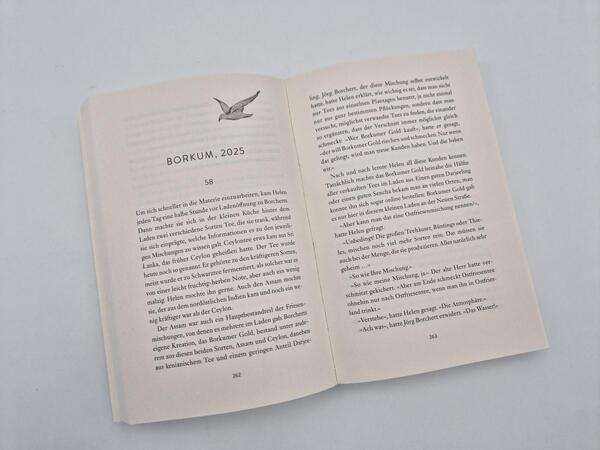 Außenansicht des Buches „Ruf der Wellen“