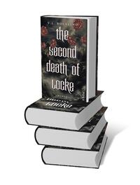 Bücherstapel des Buches „The Second Death of Locke“