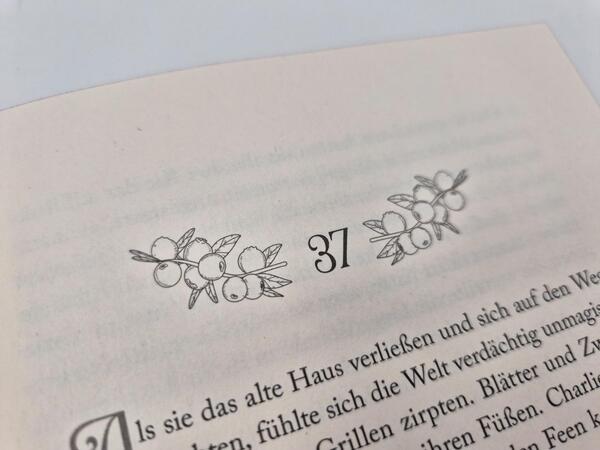 Außenansicht des Buches „Soul of Shadow“