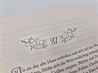 Außenansicht des Buches „Soul of Shadow“