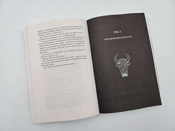 Außenansicht des Buches „The Curse of Gods“