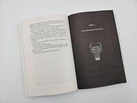 Außenansicht des Buches „The Curse of Gods“