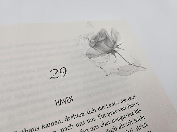 Außenansicht des Buches „Travis. Zurück zu uns“