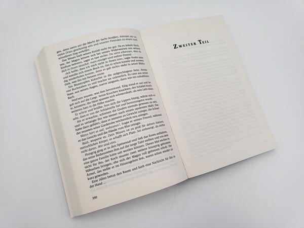 Innenansicht des Buches „Die Zwerge“