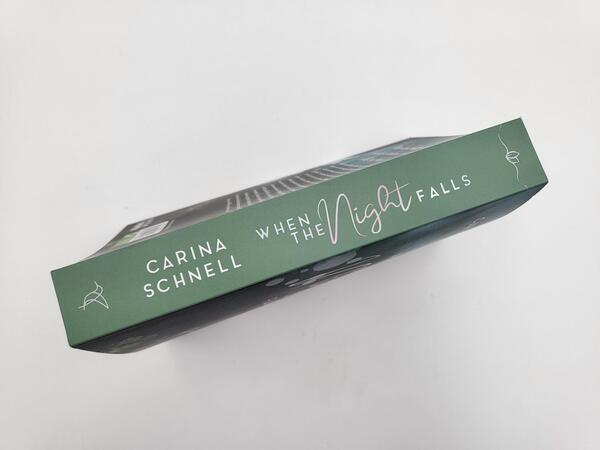 Innenansicht des Buches „When the Night Falls “