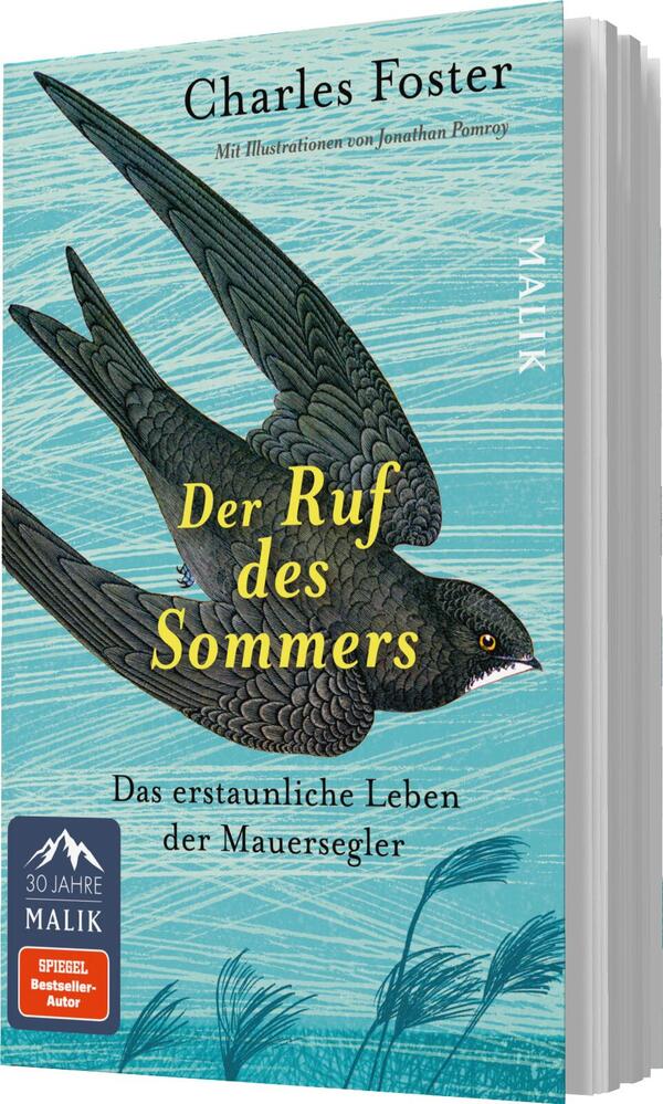 Das Buchcover zeigt eine stilisierte Darstellung eines Mauerseglers, der in eleganter Flughaltung abgebildet ist. Der Vogel ist in dunklen Farbtönen gehalten und hebt sich vor einem hellen, aquamarinen Hintergrund ab, der von sanften Wellenlinien durchzogen ist. Der Titel „Der Ruf des Sommers“ ist in auffälligen, gelben Buchstaben platziert, während der Untertitel „Das erstaunliche Leben der Mauersegler“ darunter in einer schlichten Schriftart steht. Oben auf dem Cover befindet sich der Autorname „Charles Foster“, ergänzt durch den Hinweis auf die Illustrationen von Jonathan Pomroy.