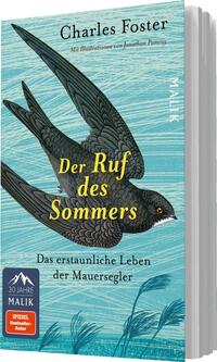 Das Buchcover zeigt eine stilisierte Darstellung eines Mauerseglers, der in eleganter Flughaltung abgebildet ist. Der Vogel ist in dunklen Farbtönen gehalten und hebt sich vor einem hellen, aquamarinen Hintergrund ab, der von sanften Wellenlinien durchzogen ist. Der Titel „Der Ruf des Sommers“ ist in auffälligen, gelben Buchstaben platziert, während der Untertitel „Das erstaunliche Leben der Mauersegler“ darunter in einer schlichten Schriftart steht. Oben auf dem Cover befindet sich der Autorname „Charles Foster“, ergänzt durch den Hinweis auf die Illustrationen von Jonathan Pomroy.