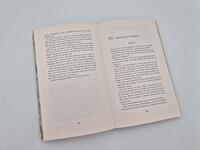 Außenansicht des Buches „The Lies we steal“