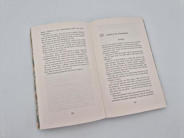 Außenansicht des Buches „The Lies we steal“