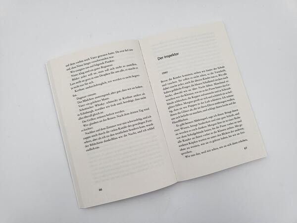 Innenansicht des Buches „Alles was Sie sehen ist neu“