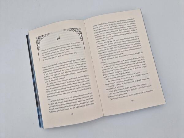Außenansicht des Buches „Cursed by Shadows“