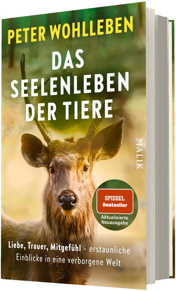 Das Buchcover zeigt ein Porträt eines Hirsches im Vordergrund vor unscharfem Waldhintergrund in warmen Grün- und Brauntönen. Oben steht der Autorenname PETER WOHLLEBEN in gelber Großschrift, mittig der Titel DAS SEELENLEBEN DER TIERE in großer weißer, serifenloser Majuskel. Unten kleingedruckter Untertitel und ein runder Aufkleber mit den Worten „SPIEGEL Bestseller“ und „Aktualisierte Neuausgabe“. Stimmung: ruhig, nachdenklich, naturverbunden.