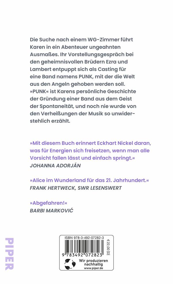 Rückansicht des Buches „Punk“ 