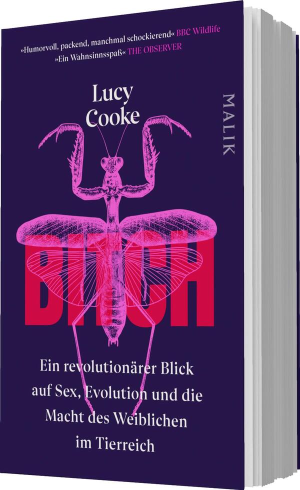 Das Buchcover zeigt einen auffälligen, lila Hintergrund. In der Mitte befindet sich eine detaillierte Abbildung eines Insekts in Pink, das eine Provokation mit dem zentralen Wort „BITCH“ in großen, auffälligen Buchstaben kombiniert. Der Autorennamen „Lucy Cooke“ ist in Weiß am oberen Rand platziert, während das Wort „M ALIK“ in kleinerer Schrift und Abstand zum rechten Rand erscheint. Unter dem Titel steht der Untertitel „Ein revolutionärer Blick auf Sex, Evolution und die Macht des Weiblichen im Tierreich“ in Weiß. Die Gestaltung vermittelt eine Mischung aus Provokation und wissenschaftlicher Neugier.