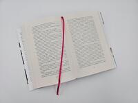 Innenansicht des Buches „Sprung ins Leere“